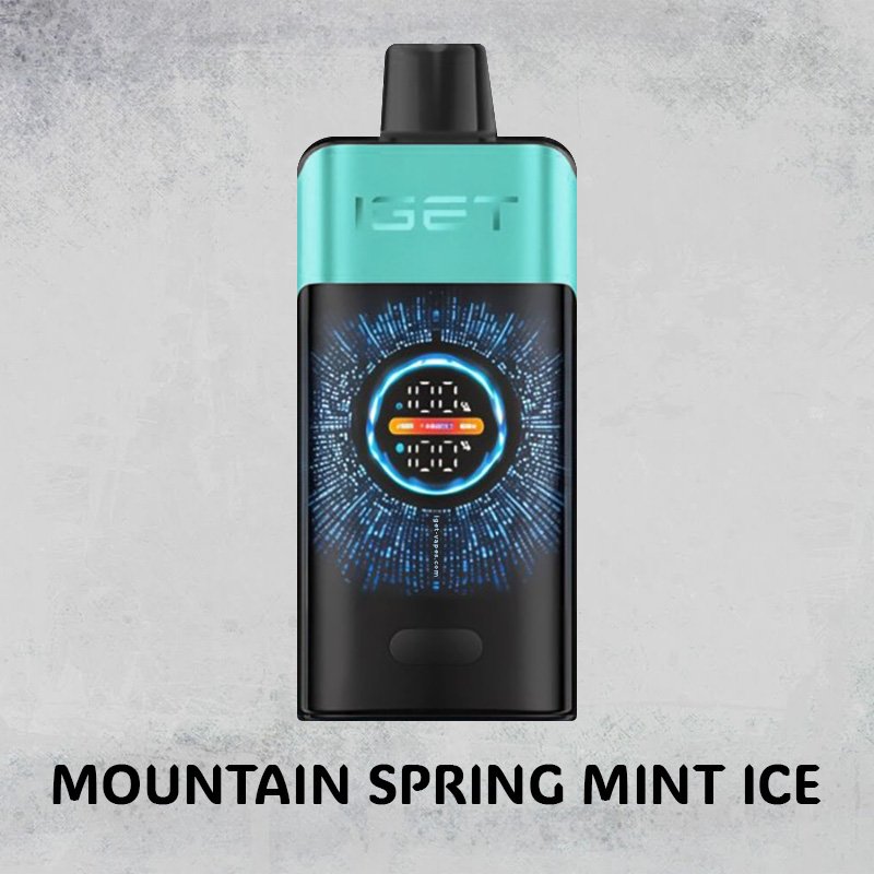 MOUNTAIN SPRING MINT ICE – IGET ONE – 12000 PUFFS